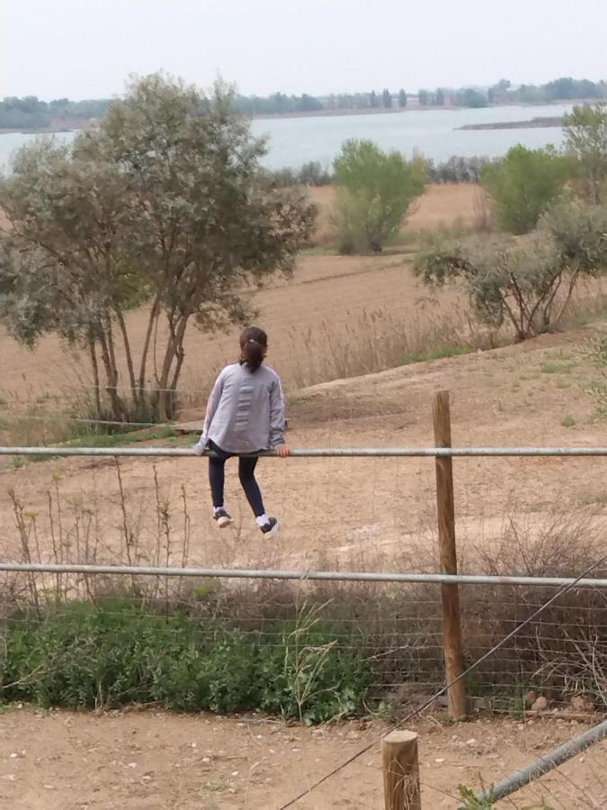 فيلا El Niu De L'Estany Ivars d'Urgell المظهر الخارجي الصورة